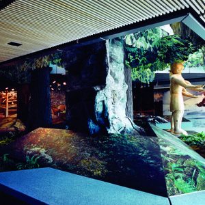 ASI Architectural wood grille ceiling panels featured in a museum exhibit