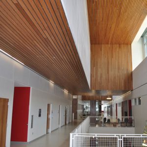 Linear Planks For Ceilings And Walls Asi Architectural