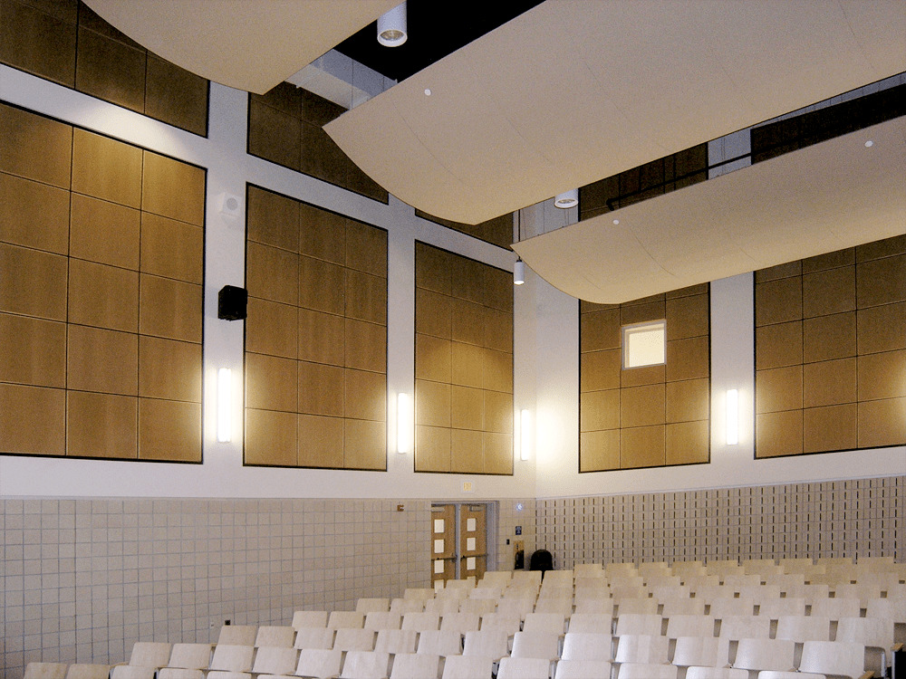 A lecture hall features ASI Architectural micro-perforated wood acoustic panels