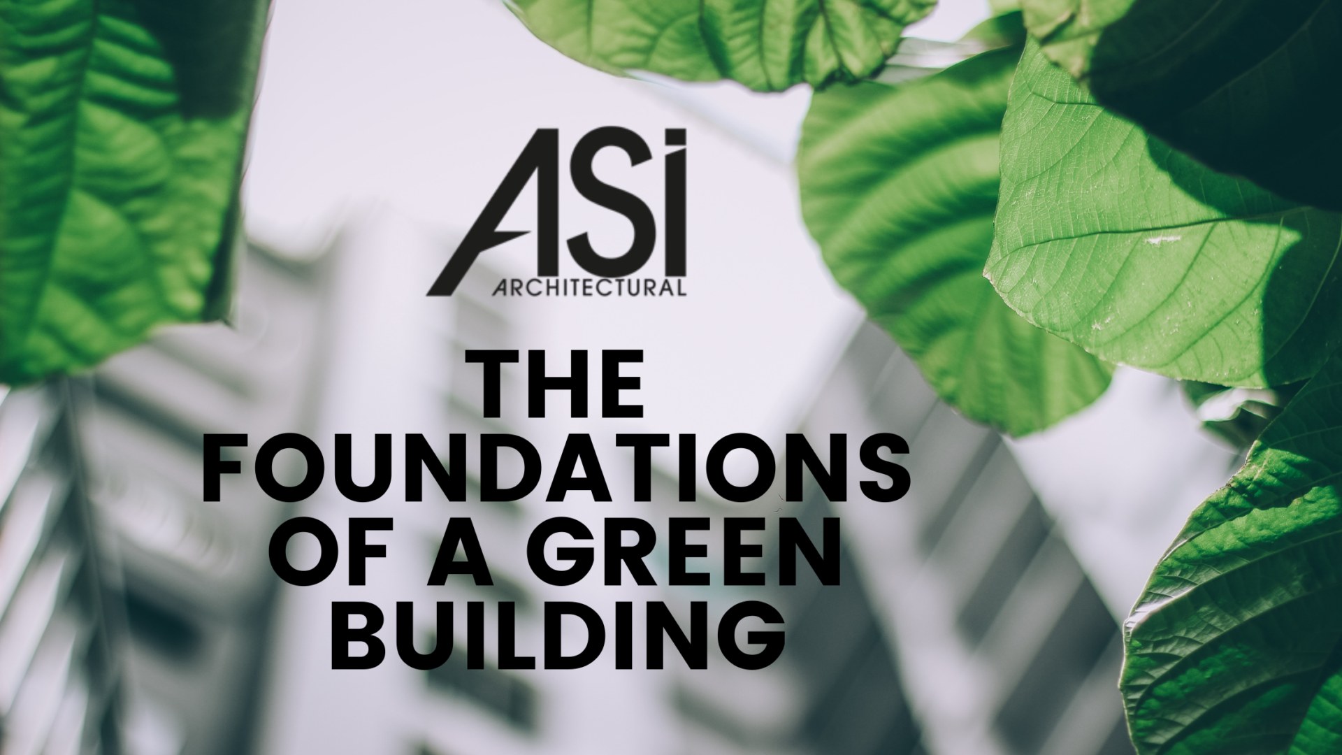ASI Architectural blog banner features imagine of plants in a green building with ASI Architectural text, "The Foundations Of A Green Building."