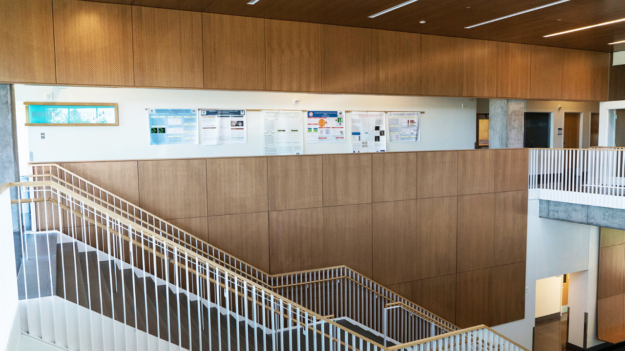 A Commercial Space featuring a large staircase and ASI Architectural Acoustic Wall Panels.