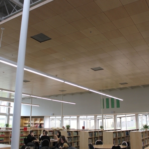 AA_Fusion_Ceiling_NMedford-1