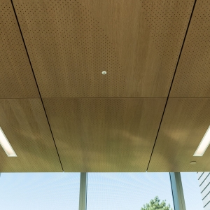 AA_Fusion_Perf_Ceiling_NHCC_0261