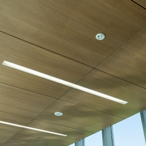 AA_Fusion_Perf_Ceiling_NHCC_0274