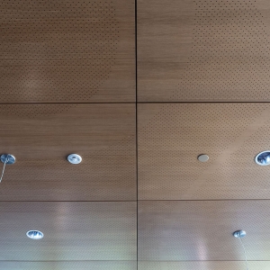 AA_Fusion_Perf_Ceiling_NHCC_0328