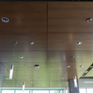 AA_Fusion_Perf_Ceiling_NHCC_0336