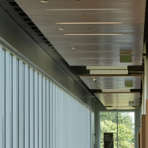 AA_Fusion_Perf_Ceiling_NHCC_0347