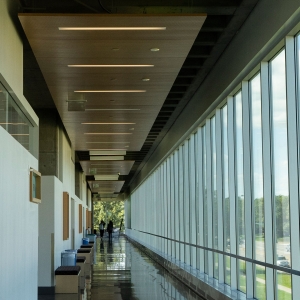 AA_Fusion_Perf_Ceiling_NHCC_0367