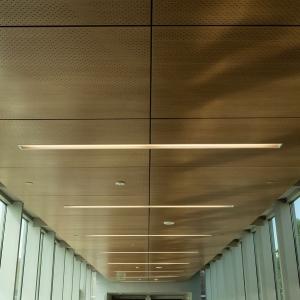 AA_Fusion_Perf_Wall_Ceiling_NHCC_0272