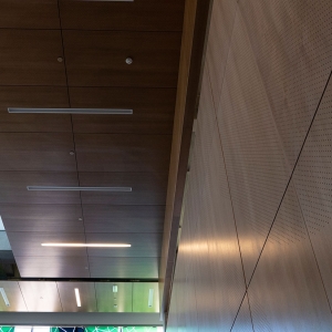 AA_Fusion_Perf_Wall_Ceiling_NHCC_0280