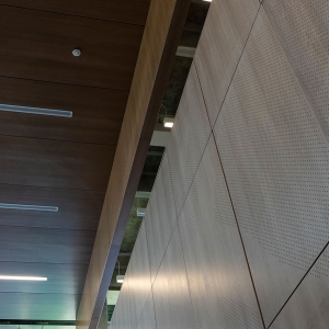 AA_Fusion_Perf_Wall_Ceiling_NHCC_0282