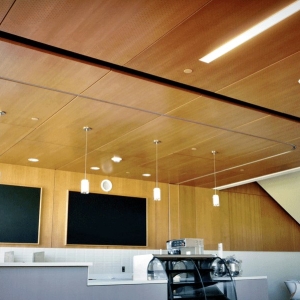 ASIArch_Fusion_Perforated_North_Hennepin_02-min