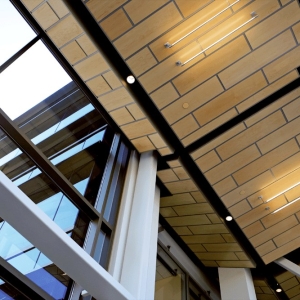 ASIArch_Fusion_UoM_Hanson_Hall_01-min