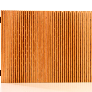 Audition-Wall-Ceiling-1