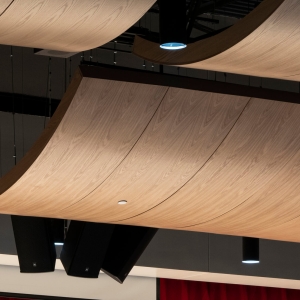AA_Cloud_Ceiling_Convex_BenReifel4524