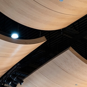 AA_Cloud_Ceiling_Convex_WhiteOak_BenReifel4464