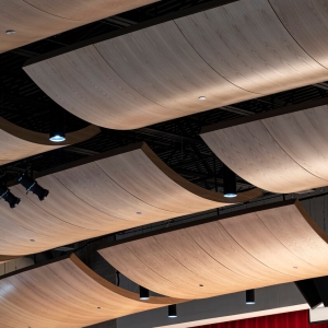 AA_Cloud_Ceiling_Convex_WhiteOak_BenReifel4475
