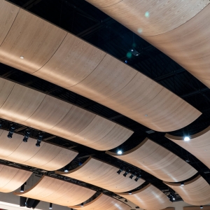 AA_Cloud_Ceiling_Convex_WhiteOak_BenReifel4508
