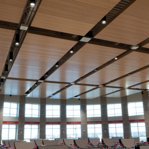 AA_Cloud_Ceiling_Flat_WhiteOak_BenReifel4531