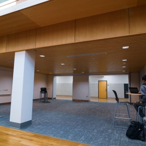 ASI_LinearAlumaline_Finish_WoodGrainPowderCoat_Color_Maple_ceiling_SLPHighSchool_Cafeteria_Classroom_Lobby_Exterior (4)