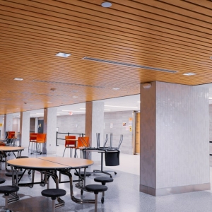 ASI_LinearAlumaline_Finish_WoodGrainPowderCoat_Color_Maple_ceiling_SLPHighSchool_Cafeteria_Classroom_Lobby_Exterior (7)