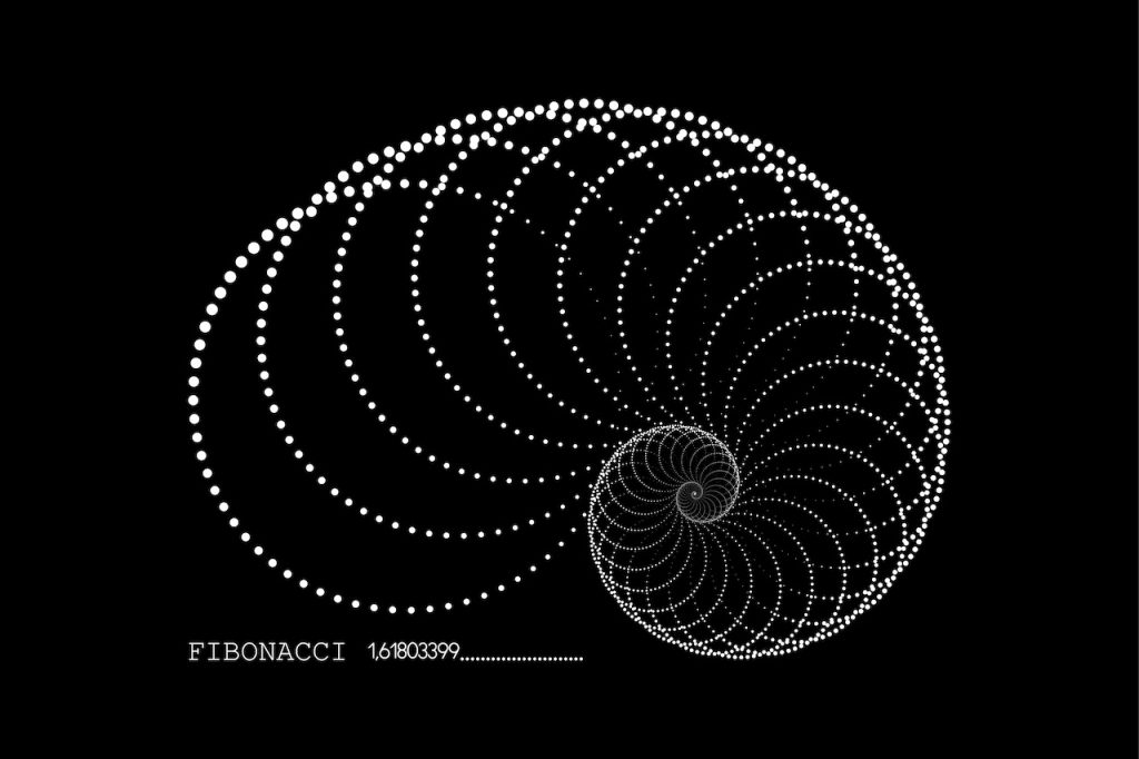 Fibonacci Sequence Spiral. Golden ratio. Geometric shapes Circles dots in golden proportion. Minimalist snail shell form, Nautilus shell logo design. Vector icon isolated on black background